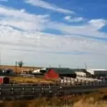 Starvation Farms 1 Starvation Farms rural landscape showing barns and outbuildings along a fenced roadside under a clear blue sky with wispy clouds