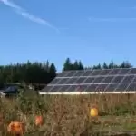 Plumper Pumpkin Patch 1 Solar panels installed on a structure in a pumpkin patch near Portland, Oregon, beneath a clear blue sky with orange pumpkins visible in the foreground