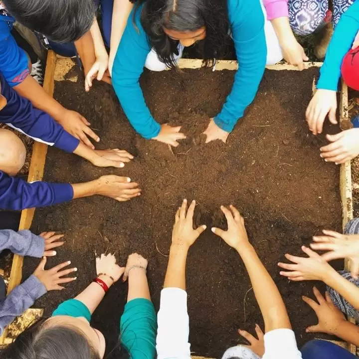 Group of children with hands in soil during a gardening activity, focused on planting or exploring the earth.
