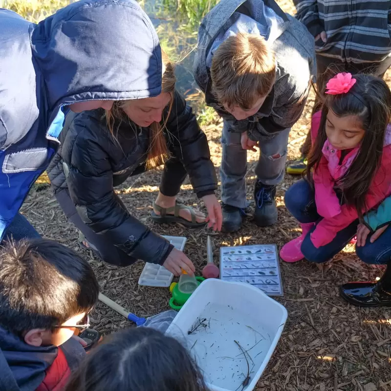 Group of children participating in an outdoor educational activity, examining items on a table.